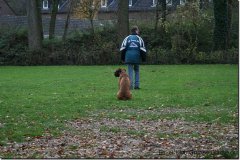 bild010