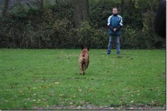 bild011