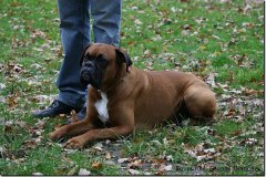 bild015