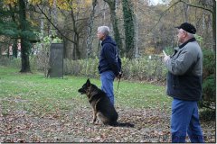 bild018