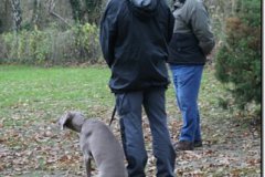 bild037