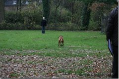 bild042