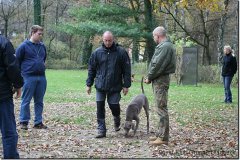 bild048