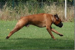 bild012