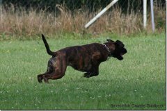 bild020