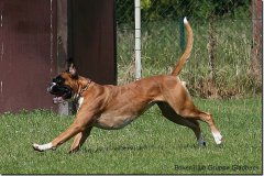 bild033
