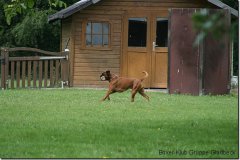 bild038