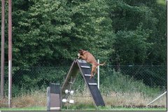 bild041