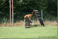 bild044