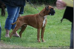 bild053
