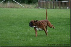 bild072