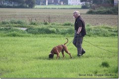 bild008