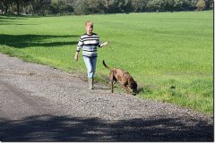 bild043