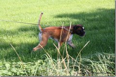 bild047