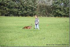bild051