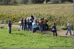 bild054