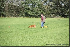 bild057