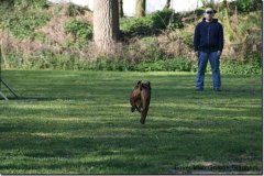 bild013
