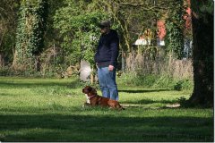 bild015