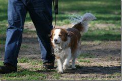 bild019