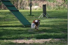 bild026