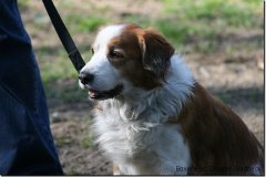 bild030