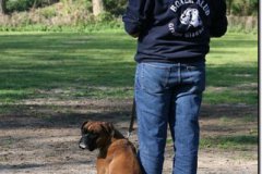 bild032