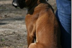 bild033
