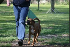 bild036