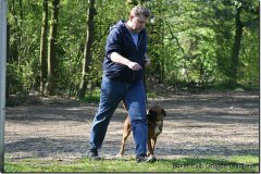 bild037
