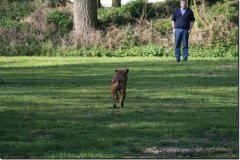 bild041