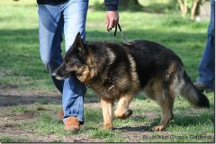 bild042