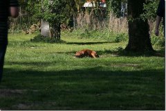 bild043