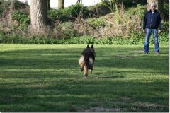 bild051