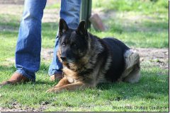 bild054