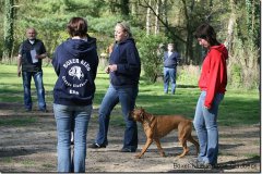 bild061
