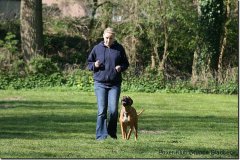 bild064