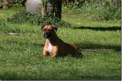 bild068