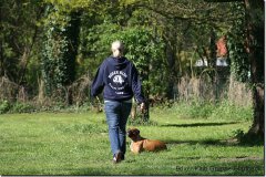 bild078