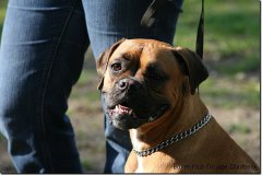bild081