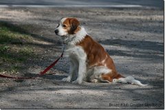 bild090
