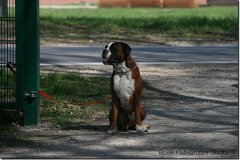 bild093