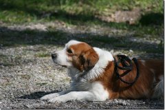 bild095