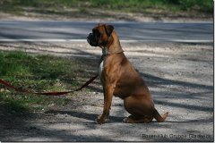 bild096
