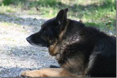 bild098