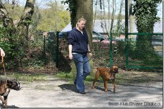 bild099