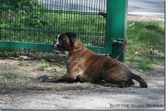 bild104