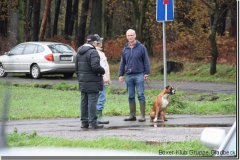 bild003