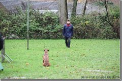bild011