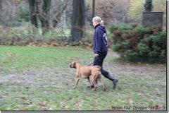 bild014